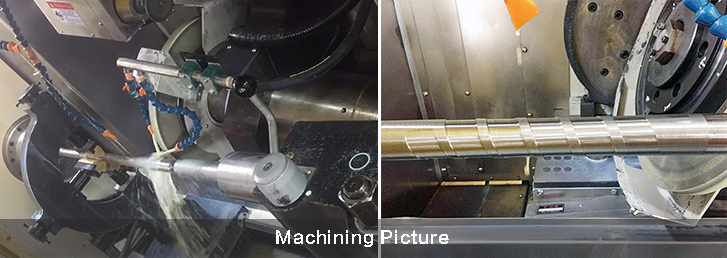 xc sports(中国区)-官方网站